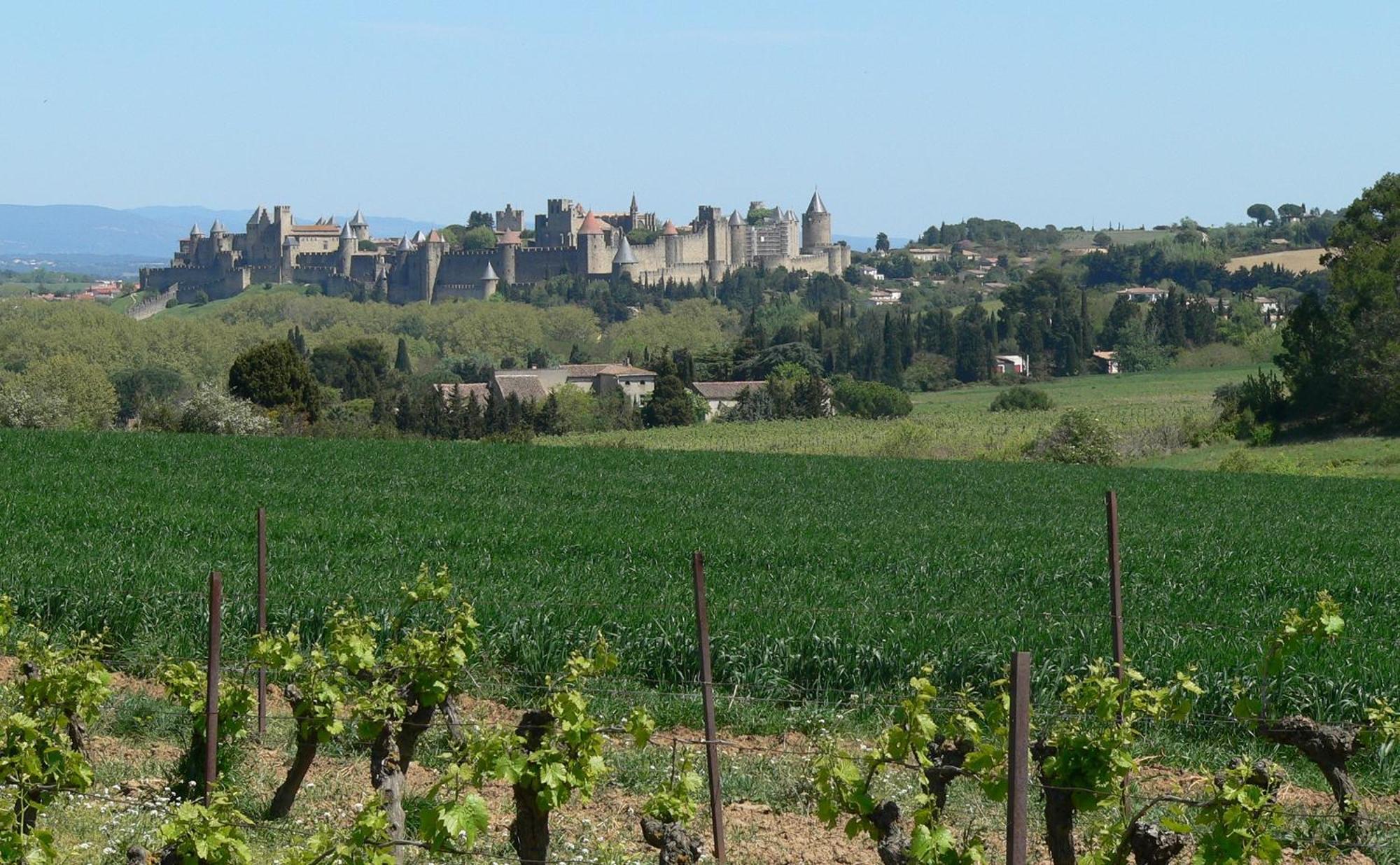 La Petite Chambre Du Lac Carcassone Kültér fotó